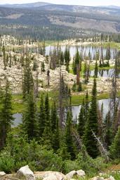 /galleries/big_elk_lake_2025/011_the_chain_of_lakes_[Sun_Jul_20_12:04:55_MDT_2025].thumbnail.jpg